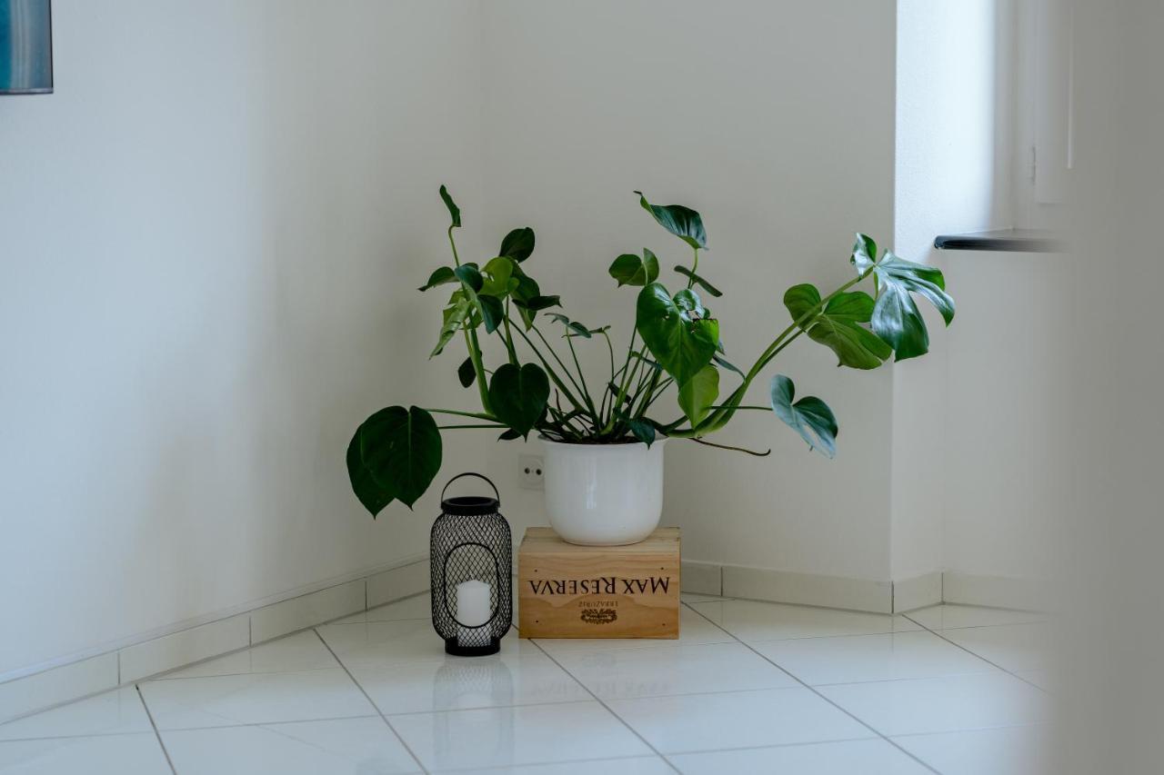 Apartment In The City Center With Free Parking Биль Экстерьер фото